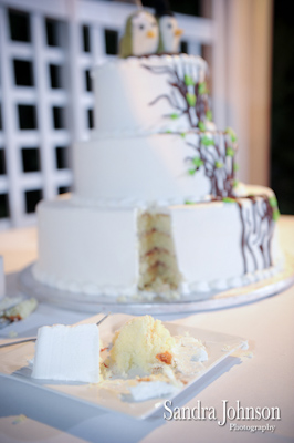 Best Cypress Grove Park Wedding photographer - Sandra Johnson (SJFoto.com)